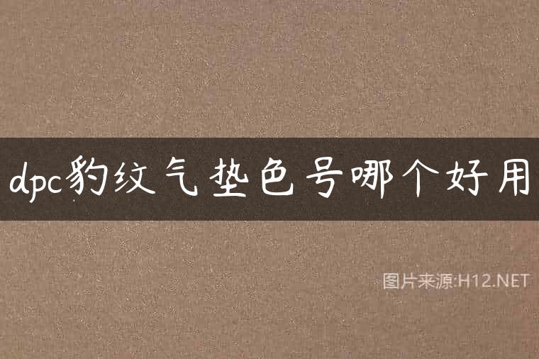 dpc豹纹气垫色号哪个好用