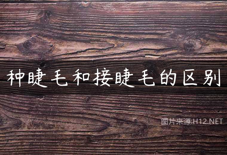 种睫毛和接睫毛的区别