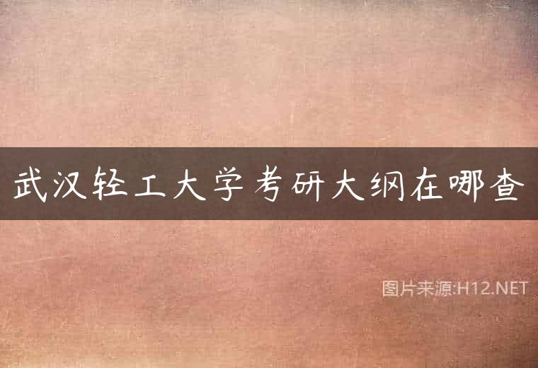 武汉轻工大学考研大纲在哪查