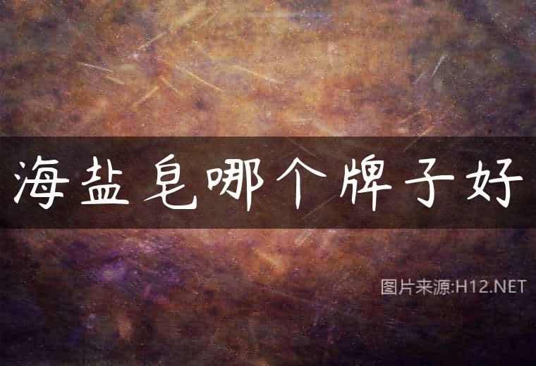 海盐皂哪个牌子好