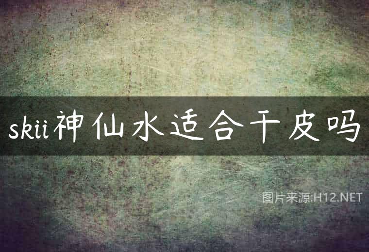 skii神仙水适合干皮吗