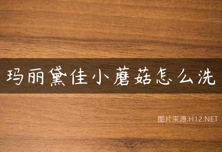 玛丽黛佳小蘑菇怎么洗