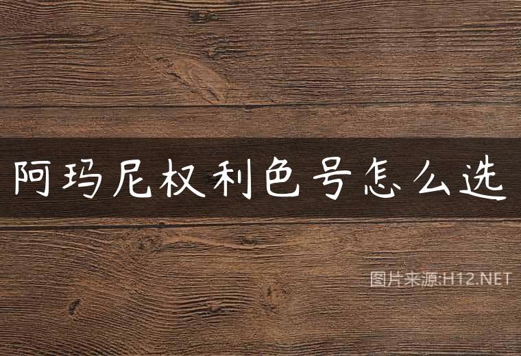 阿玛尼权利色号怎么选