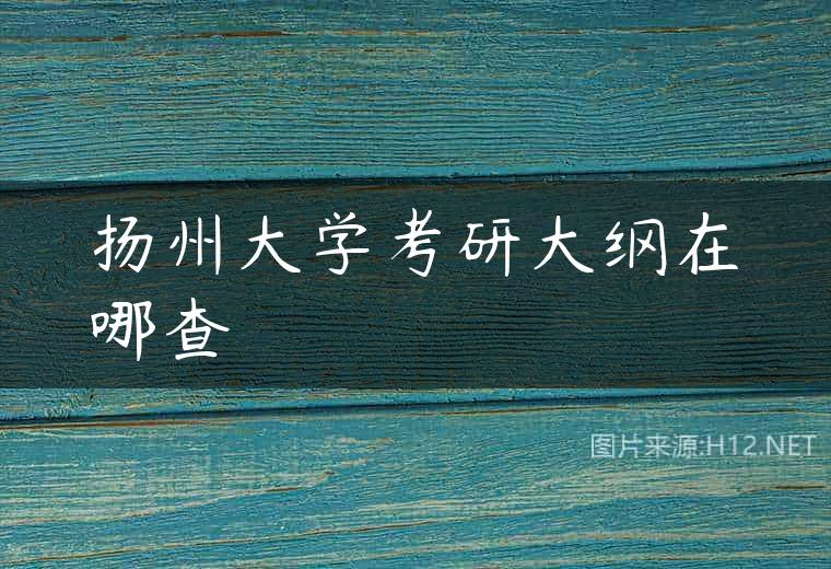 扬州大学考研大纲在哪查