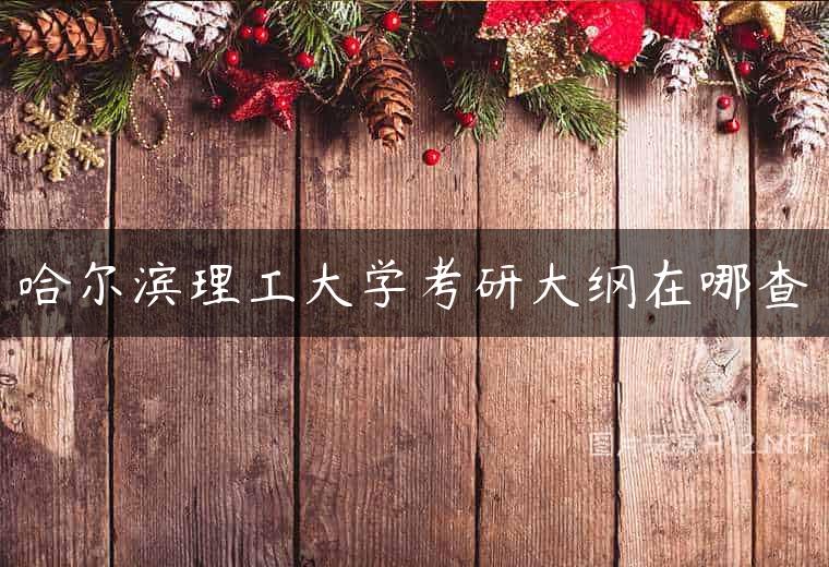 哈尔滨理工大学考研大纲在哪查