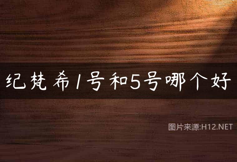 纪梵希1号和5号哪个好