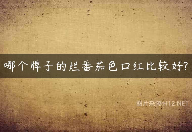 哪个牌子的烂番茄色口红比较好?