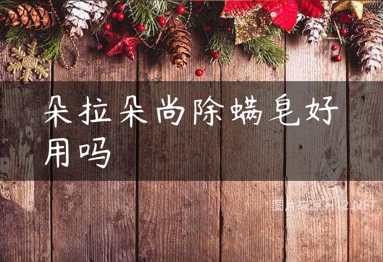 朵拉朵尚除螨皂好用吗