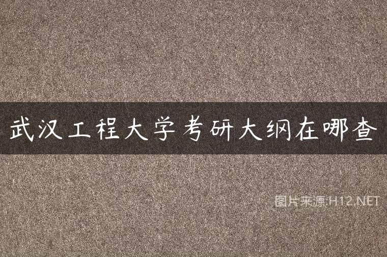 武汉工程大学考研大纲在哪查
