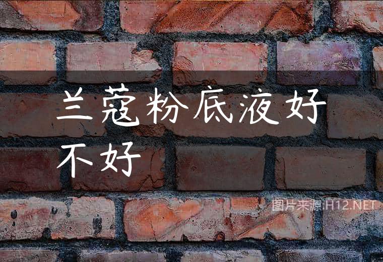兰蔻粉底液好不好