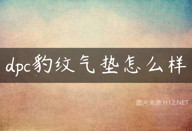 dpc豹纹气垫怎么样