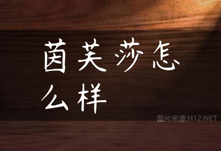 茵芙莎怎么样