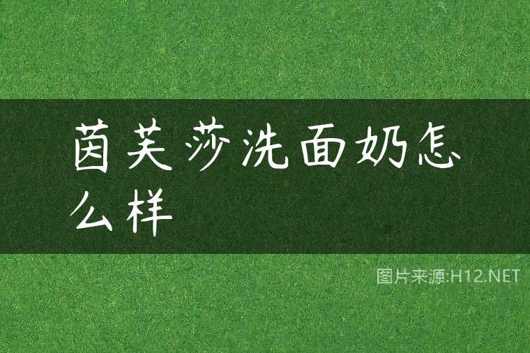 茵芙莎洗面奶怎么样