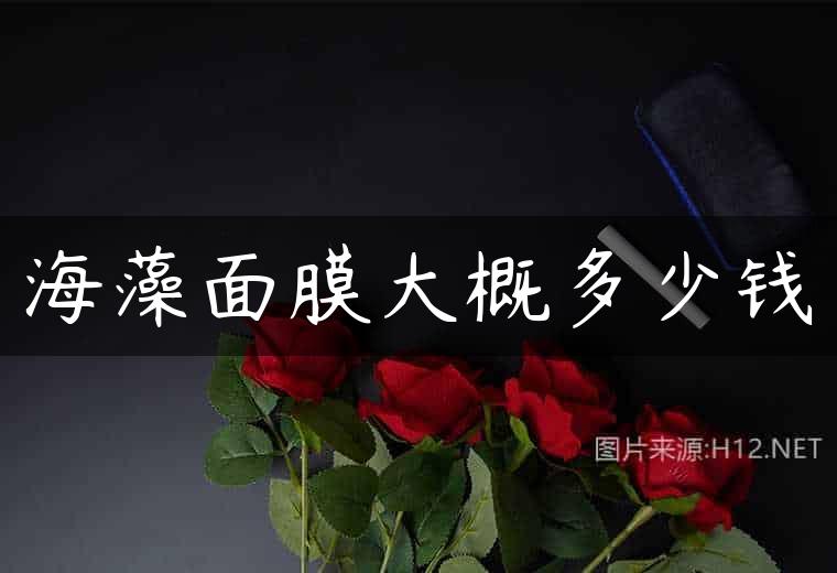 海藻面膜大概多少钱