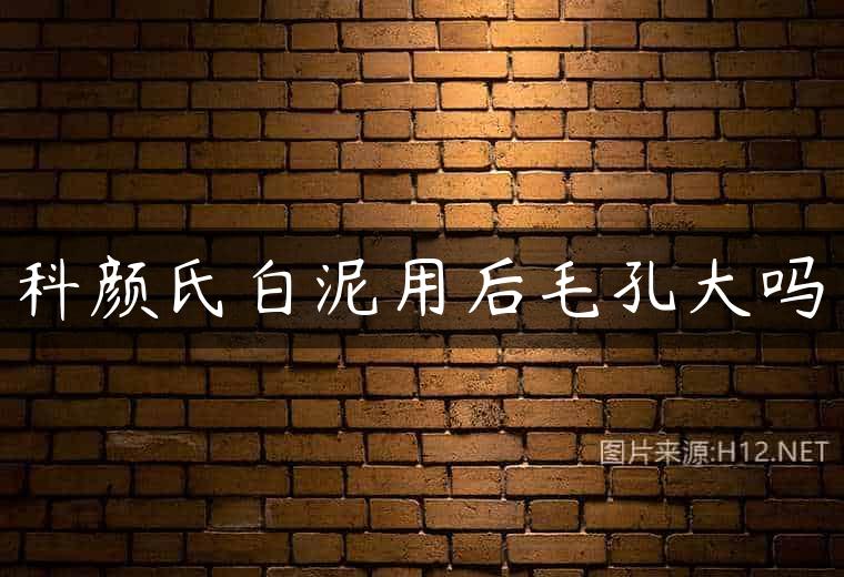 科颜氏白泥用后毛孔大吗