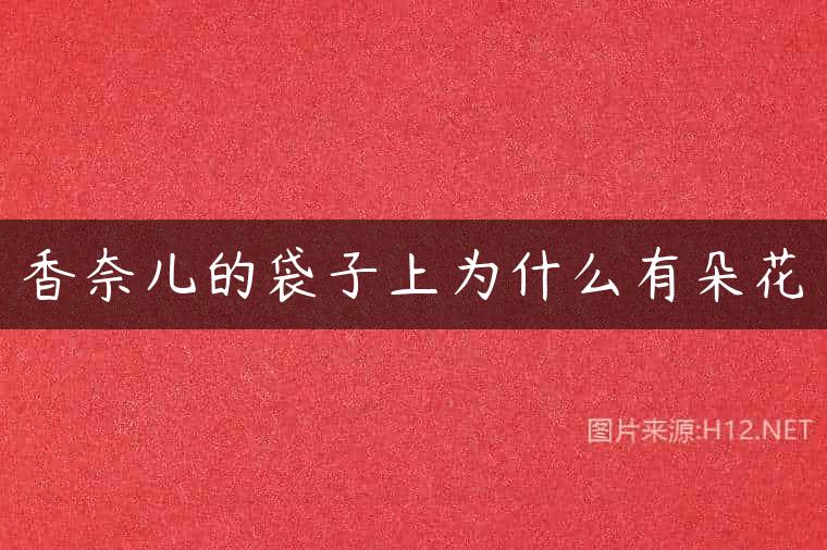 香奈儿的袋子上为什么有朵花