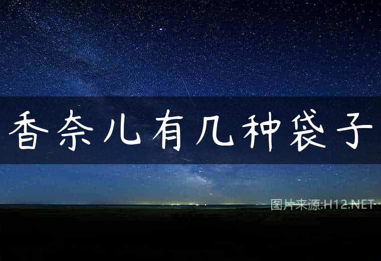 香奈儿有几种袋子