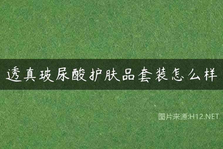 透真玻尿酸护肤品套装怎么样