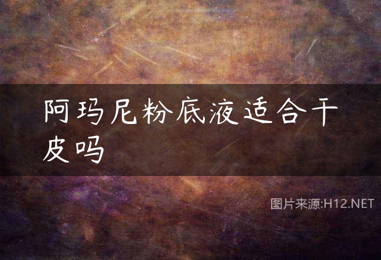 阿玛尼粉底液适合干皮吗