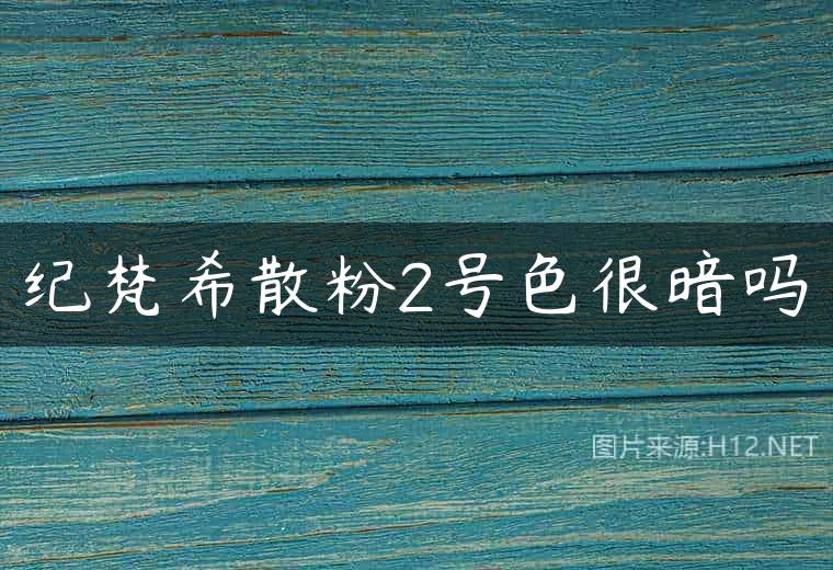 纪梵希散粉2号色很暗吗