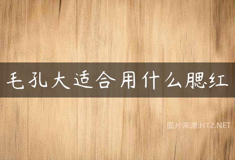 毛孔大适合用什么腮红