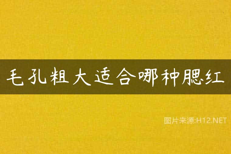 毛孔粗大适合哪种腮红