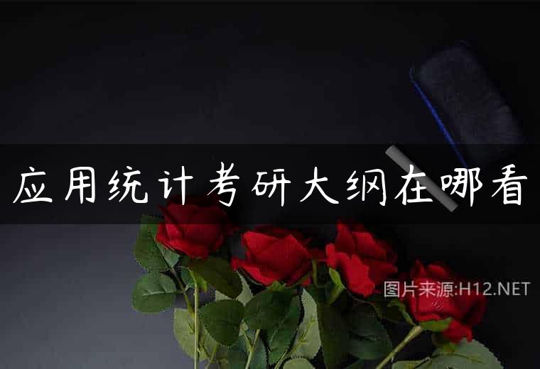 应用统计考研大纲在哪看