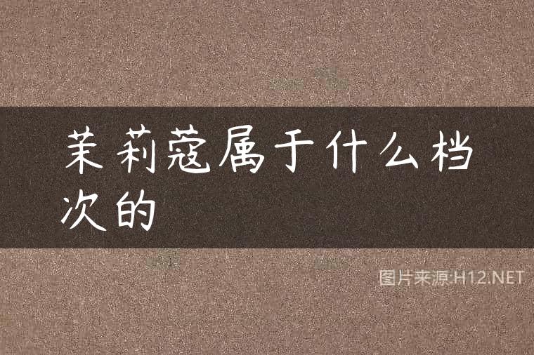 茉莉蔻属于什么档次的