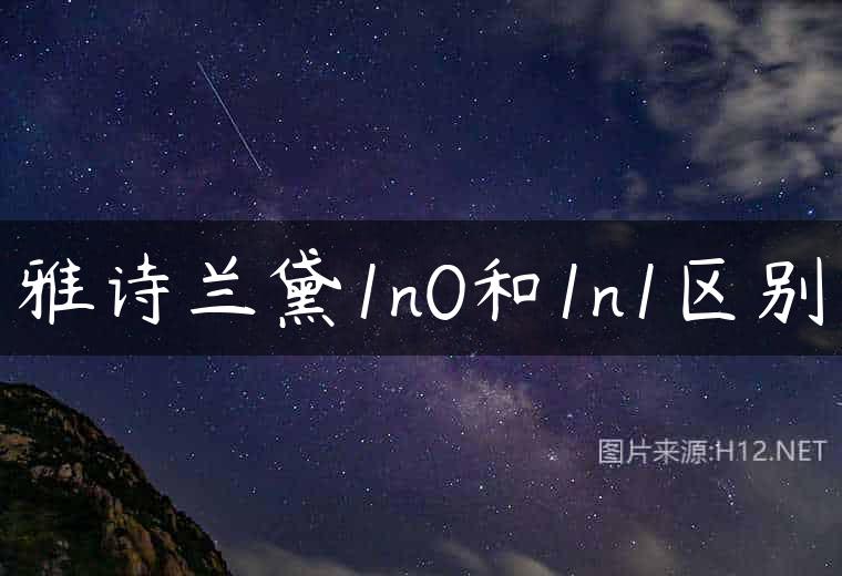雅诗兰黛1n0和1n1区别