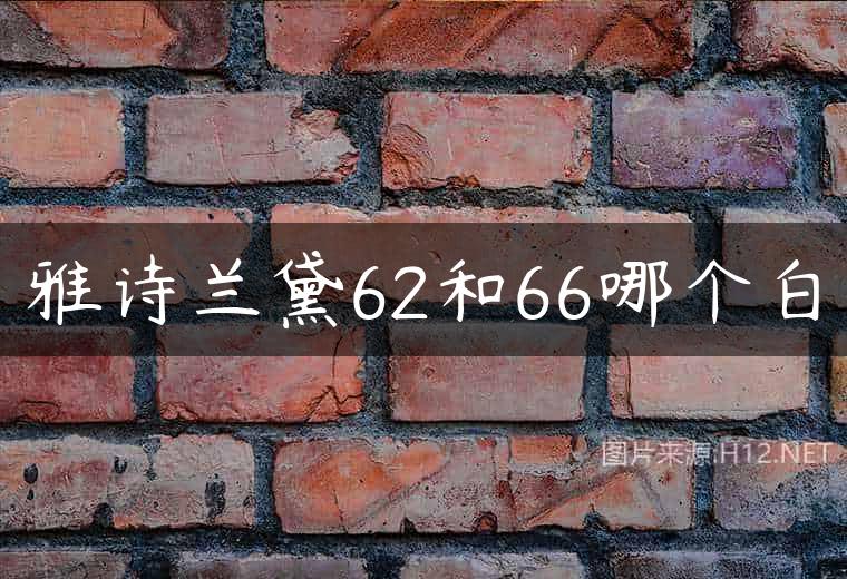 雅诗兰黛62和66哪个白