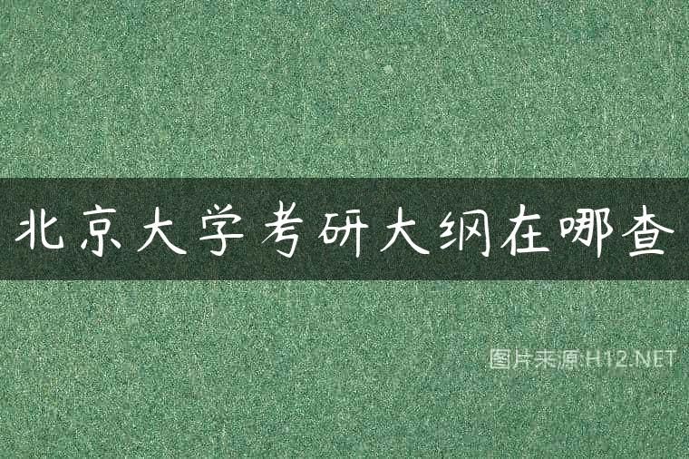 北京大学考研大纲在哪查