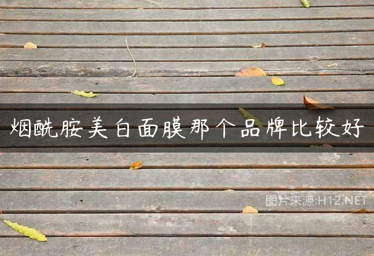 烟酰胺美白面膜那个品牌比较好