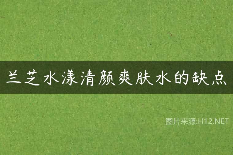 兰芝水漾清颜爽肤水的缺点
