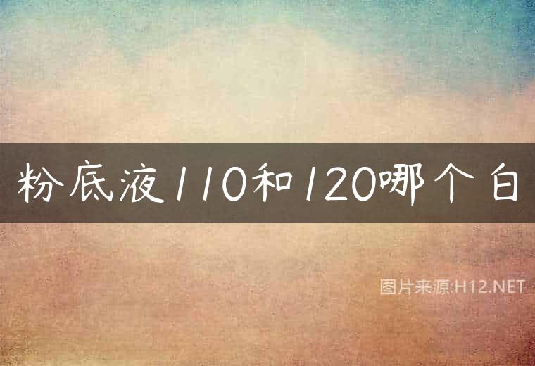 粉底液110和120哪个白
