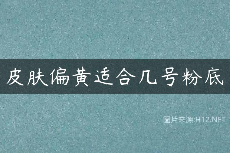皮肤偏黄适合几号粉底