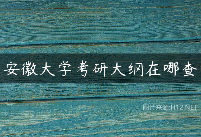 安徽大学考研大纲在哪查