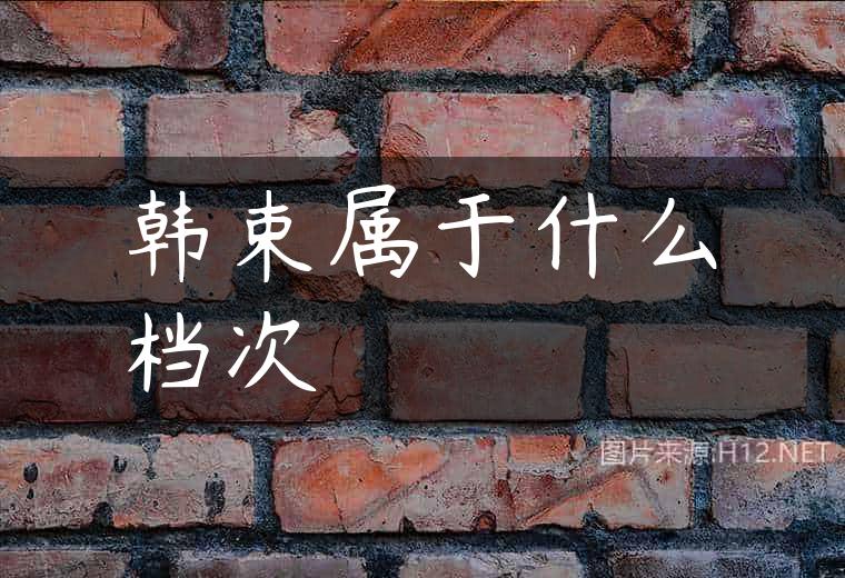 韩束属于什么档次
