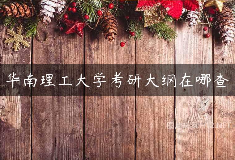 华南理工大学考研大纲在哪查