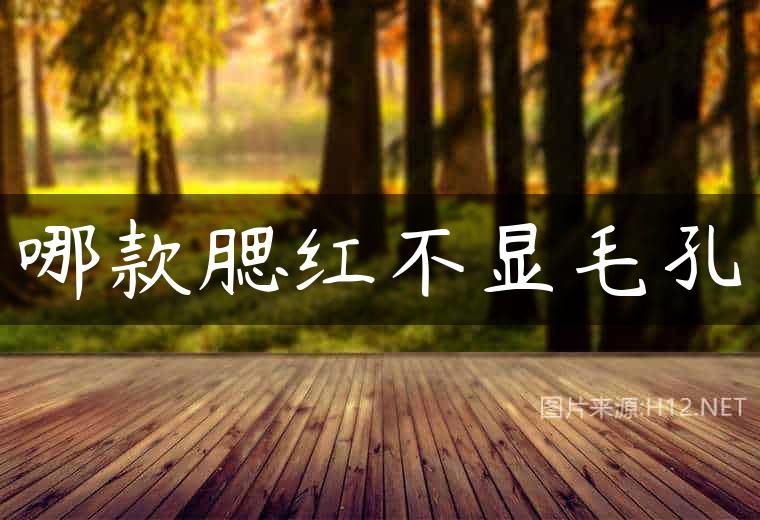 哪款腮红不显毛孔