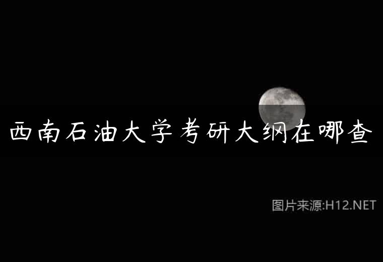 西南石油大学考研大纲在哪查