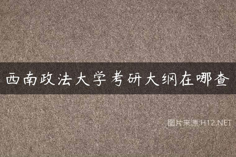 西南政法大学考研大纲在哪查