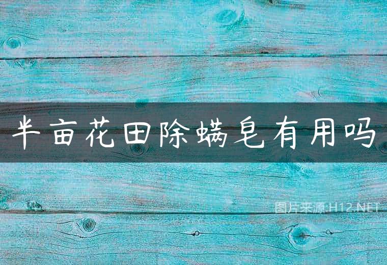 半亩花田除螨皂有用吗