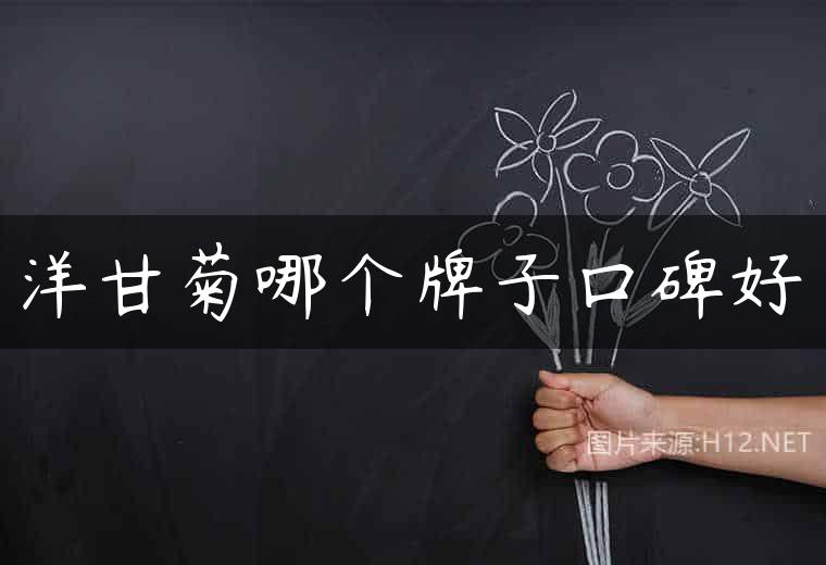 洋甘菊哪个牌子口碑好