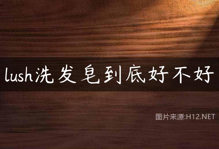 lush洗发皂到底好不好