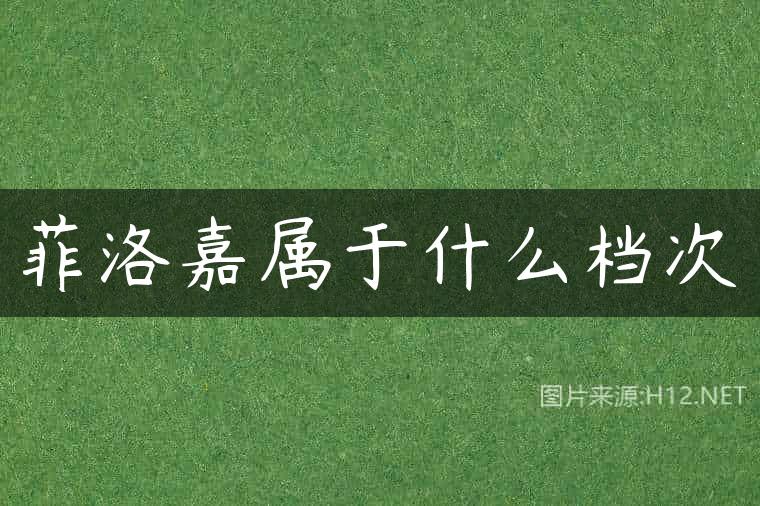 菲洛嘉属于什么档次