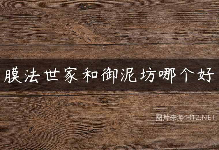 膜法世家和御泥坊哪个好