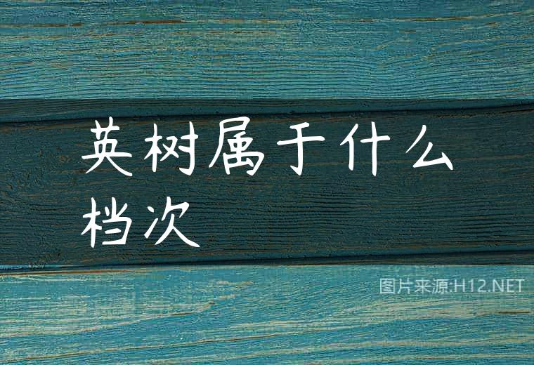 英树属于什么档次