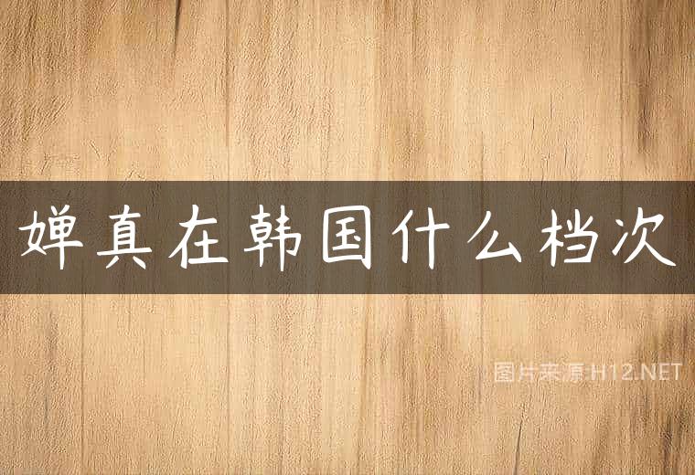 婵真在韩国什么档次