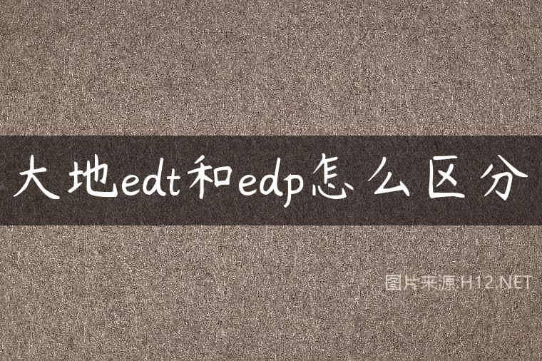 大地edt和edp怎么区分