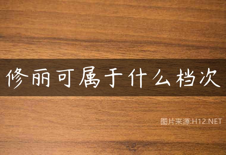 修丽可属于什么档次